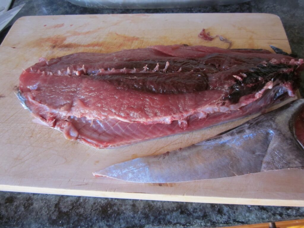 recetas con melva fresca
