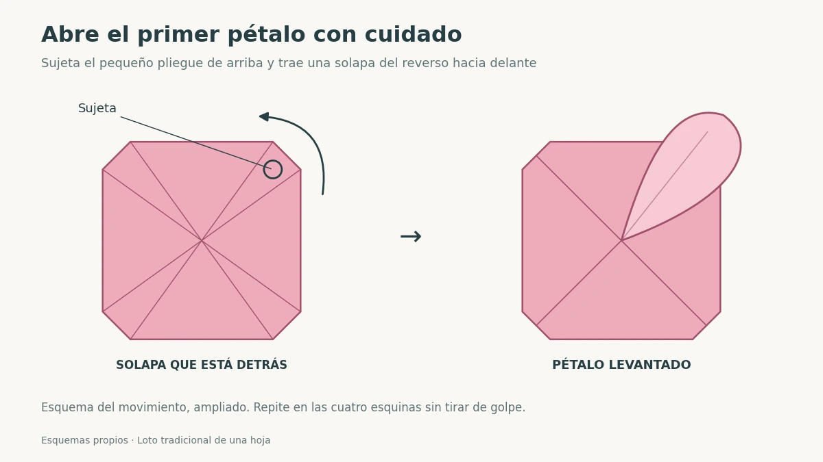 Esquema para sujetar el pliegue y levantar una solapa del reverso del loto