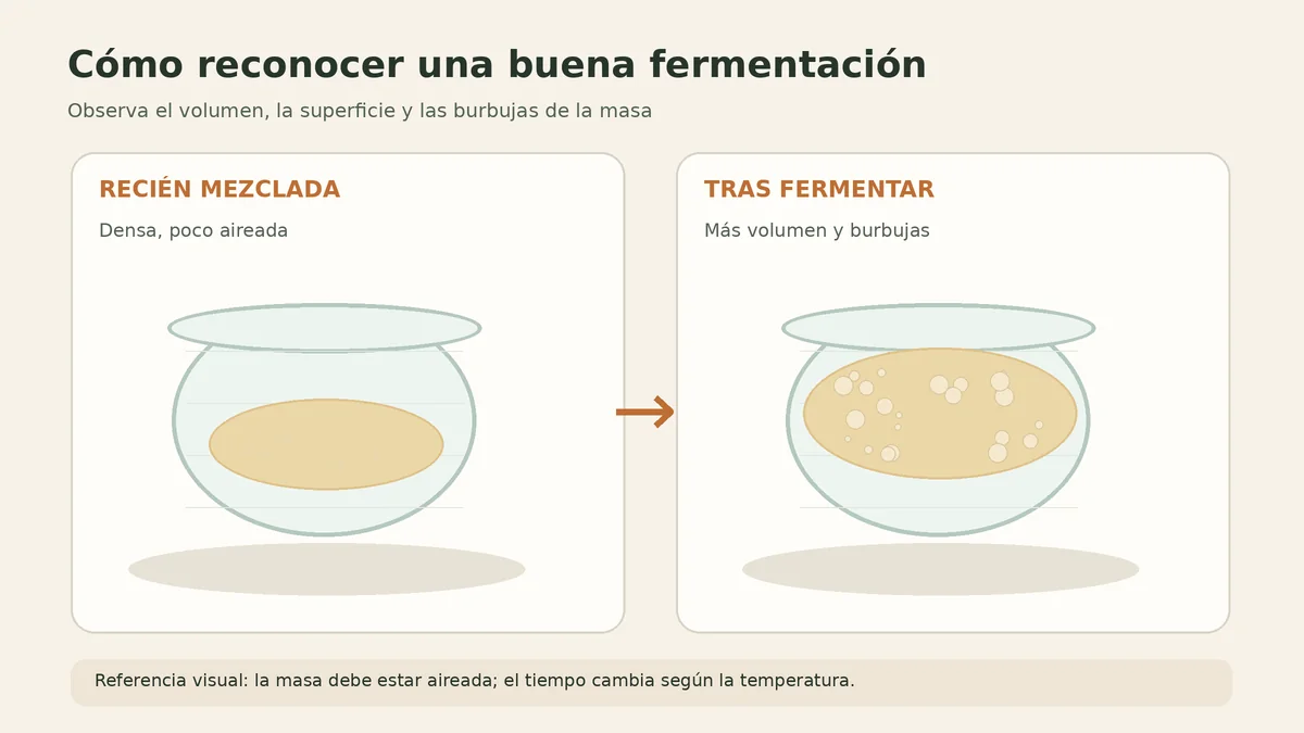 Ilustración de la masa de pizza en un bol antes y después de fermentar, con más volumen y burbujas